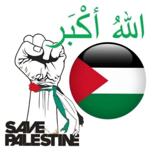 Pernyataan Sikap AWG Atas Veto Amerika Serikat terhadap Resolusi Gencatan Senjata Gaza di DK PBB